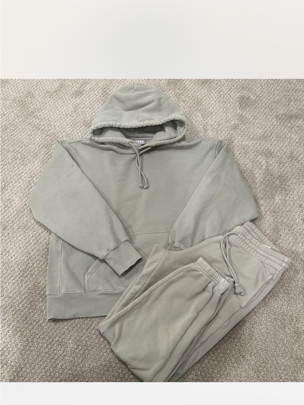 TNA Cozy Fleece Boyfriend Hoodie in Sage Green